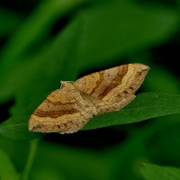 из снятого вчера 1 :: Александр Прокудин