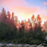 Волшебное утро!  ... ( туманное  ) :: Елена Хайдукова  ( Elena Fly )