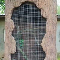 ПОДКОРКА :: Сергей Янович Микк ПОДКОРКА :: Сергей Янович Микк