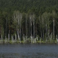 р.Сура :: Олег Денисов