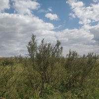 Солнечный день :: Андрей Хлопонин