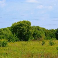 Алатырь. Небольшие рощи в пойме реки Алатырь. :: Пётр Чернега
