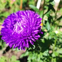 ,, :: Сергей Тимоновский