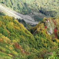 Кавказские горы :: Рита Симонова