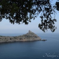 Природа Крыма :: Amazing Cosmea