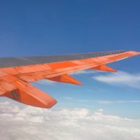 В полёте :: Ирэн 