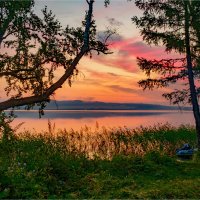 **** :: Алексей Мезенцев **** :: Алексей Мезенцев