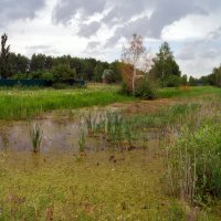 Природа :: IRinA*** 