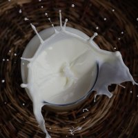 Плюх! :: Светлана Карнаух Плюх! :: Светлана Карнаух