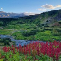 Чудесный край - Камчатка :: Марина Виноградова