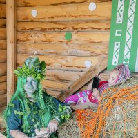 Кикимора :: Андрей Щетинин Кикимора :: Андрей Щетинин