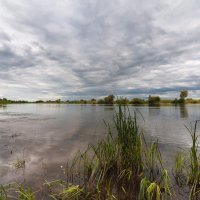 ... :: василий 