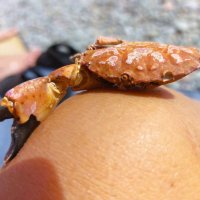 Не сломлен :: Хватова Марина 