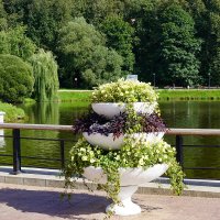 Лето в Царицыно :: Ольга 