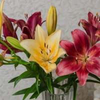 *** :: Виктор Иванович Чернюк