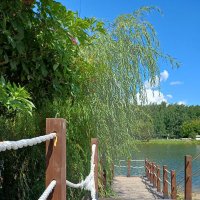 Терлецкий парк в Москве :: Ольга Довженко