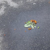 Осень близко :: Валерий Иванович Осень близко :: Валерий Иванович