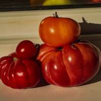 Разнокалиберные. :: Петр Беляков