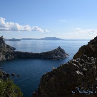 Природа Крыма :: Amazing Cosmea