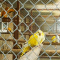 ЧЕРЕЗ_ЯЧЕЙКИ :: Сергей Янович Микк ЧЕРЕЗ_ЯЧЕЙКИ :: Сергей Янович Микк