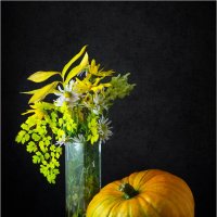 **** :: Алексей Мезенцев