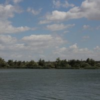 **** :: Виктор 