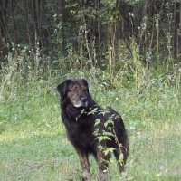 Кир - наш дружок :: Freddy 97