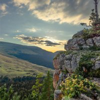 *** :: Аnatoly Gaponenko