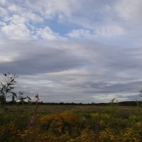 Небо и земля. Вечер :: Антонина Гугаева