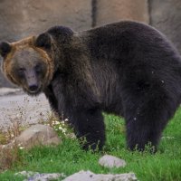 Ух ты, Михойлоч :: Владимир Максимов Ух ты, Михойлоч :: Владимир Максимов