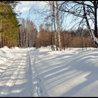 Март :: **** vedin