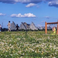 Ромашковое лето :: Татьяна Машошина