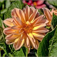 Про июль :: Aquarius - Сергей Про июль :: Aquarius - Сергей