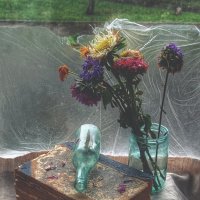 До свидания, лето :: Ирина Курмалеева