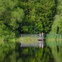 У пруда :: Серый 