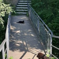 Двое на мосту :: Наталья Герасимова