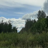 Август :: Наталья Герасимова