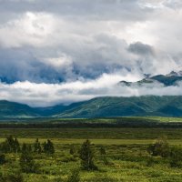 ... :: Жора Житников