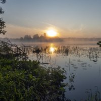 Восход с заросшего берега :: Сергей Цветков