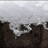 Март :: **** vedin