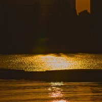 Море в лучах рассвета! :: Giant Tao /