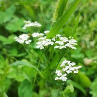 ,,, :: Сергей Тимоновский