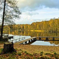 Осенняя элегия :: Галина Шеина-Мюльдорфер Осенняя элегия :: Галина Шеина-Мюльдорфер