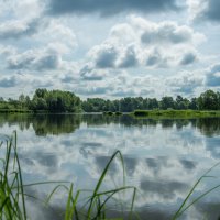 *** :: Николай Чекалин