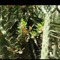 112 (238) :: СТРЕН 