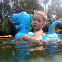 Последний заплыв. :: Ольга Довженко Последний заплыв. :: Ольга Довженко