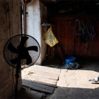 *** :: Валерий Михмель 