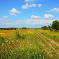 Уходящее лето. :: Михаил Колосов 