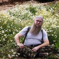 На ромашковой полянке :: Алексей Большаков