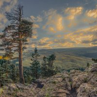 *** :: Аnatoly Gaponenko